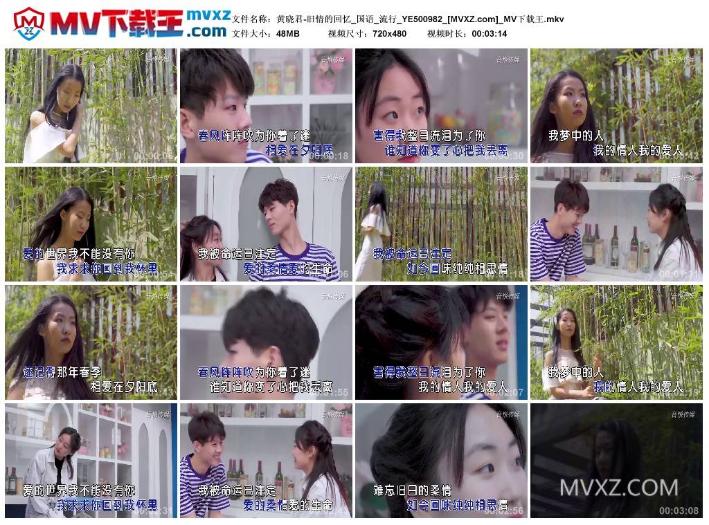 黄晓君-旧情的回忆_国语_流行_YE500982